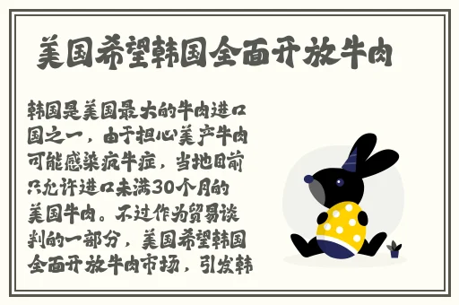 麻豆高清传媒